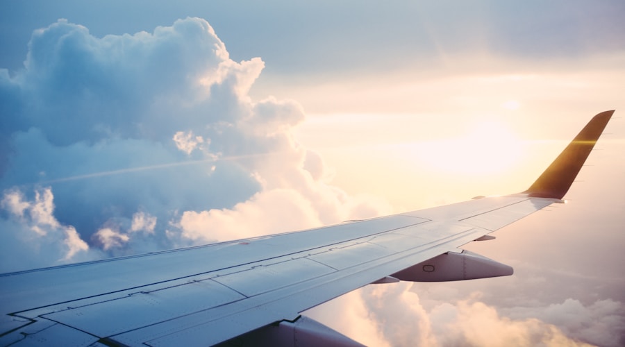 Sigurnosna kontrola ručnog prtljaga na aerodromu Nikola Tesla
